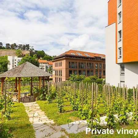 Albertov Rental Apartments-3